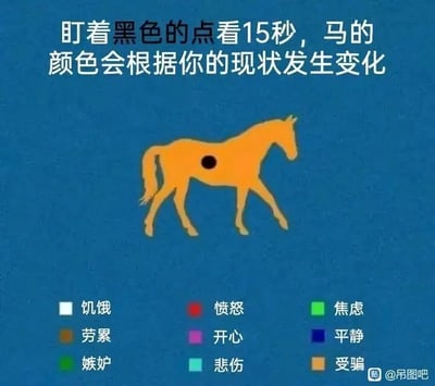 暂无描述
