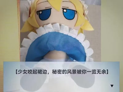 图中展示的是《东方Project》里爱丽丝·玛格特罗依德的Fumo毛绒玩偶，被摆出咬着自己蓝白裙边的姿势，下方配有玩梗文字【少女咬起裙边，秘密的风景被你一览无余】。这是粉丝的整活创作，利用玩偶的姿势制造出带有玩笑性质的擦边暗示，实际上玩偶并没有所谓的“秘密风景”，通过反差感制造搞笑效果。
