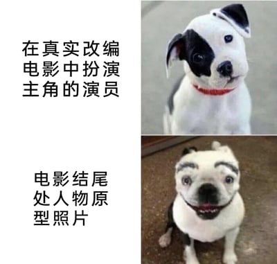 这是一张上下分栏的对比类搞笑梗图，上半部分展示了一只黑白配色、眼神无辜表情软萌的狗狗，搭配配文“在真实改编电影中扮演主角的演员”；下半部分是一只被人为添加了粗眉毛和假笑嘴巴的狗狗，搭配配文“电影结尾处人物原型照片”。该图通过演员狗狗与“原型”狗狗的巨大形象反差，调侃部分真实改编影视作品中，演员形象与人物原型形象差距过大的现象，用宠物P图的搞笑形式放大这种反差，制造出荒诞幽默的吐槽效果。