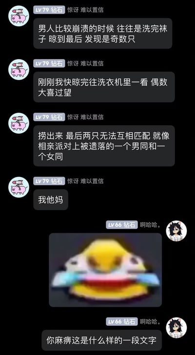 这是一张深色模式的社交平台聊天记录截图，共有两名用户参与对话：头像是粉色飞猪的LV79钻石用户先提出男生洗袜子晾到最后发现是奇数只会很崩溃，紧接着分享自己的经历：快晾完时发现洗衣机里还有袜子，凑成偶数本来十分开心，结果捞出来发现最后两只完全无法配对，还将其比喻成相亲派对上剩下的一名男同性恋和一名女同性恋，最后情绪激动爆粗；头像是卡通黑发少女的LV66钻石用户先是发送了一张模糊的海绵宝宝张开彩虹嘴的搞笑表情包并大笑，之后吐槽对方的描述过于离谱、让人哭笑不得。