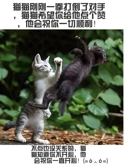 图片展示了两只猫咪的有趣互动场景。一只灰白相间的猫咪站立着，前爪抬起，似乎刚刚打出一拳；另一只黑色猫咪则呈倒立姿态在空中，仿佛被打倒。图片上下配有文字，上方写着“猫猫刚刚一拳打倒了对手，猫猫希望你给他点个赞，他会祝你一切顺利！”，下方写着“不点也没关系的，猫猫知道你不开心，他会祝你一直开心！(๑•̀ㅂ•́)و✧”。整体画面可爱又幽默，通过猫咪的拟人化动作和温馨的文字，营造出轻松愉快的氛围。