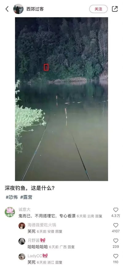 这是一条来自社交平台的用户分享帖，发布者“西郊过客”在深夜户外钓鱼时，发现对岸树林里有一个类似人影的深色轮廓，于是发布图片配文“深夜钓鱼，这是什么？”，并带上#恐怖 #露营的标签，试图营造诡异的氛围。但评论区的网友并未被“恐怖”氛围影响，热评用户“诚意大”以“鬼而已，不用搭理它，专心看漂”的搞笑回复消解了恐怖感，该评论获得4.3万点赞，其他网友也纷纷以“笑死”“哈哈哈哈哈”等调侃内容回应，让原本疑似恐怖的场景变成了搞笑的互动内容。