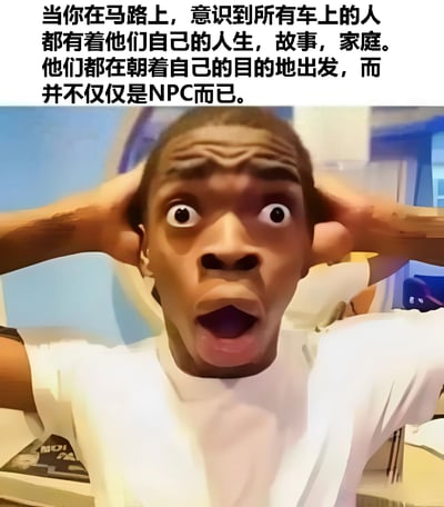 图片上方为黑色文字：'当你在马路上，意识到所有车上的人都有着他们自己的人生，故事，家庭。他们都在朝着自己的目的地出发，而并不仅仅是NPC而已。' 下方是一张真人反应图，图中人物双手抱头，双眼瞪大，嘴巴张开，表情极度震惊，仿佛突然领悟到深刻道理。整体通过文字与夸张表情的结合，表达了对他人生命独特性的顿悟。
