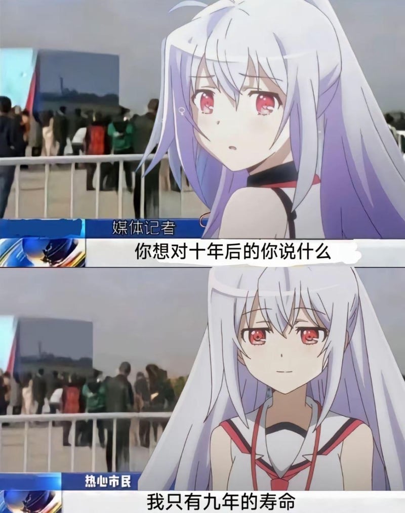 可塑性记忆