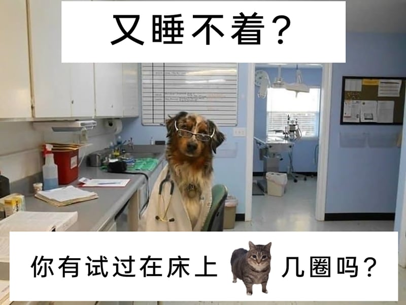 拟人化医生