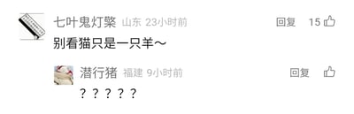 这是一张社交媒体评论区的截图，来自山东的用户“七叶鬼灯檠”23小时前发布了一条玩梗评论：“别看猫只是一只羊～”，该内容改编自动画《喜羊羊与灰太狼》的主题曲《别看我只是一只羊》的原歌词，将原歌词中的“我”替换为“猫”，制造出无厘头的错位效果；来自福建的用户“潜行猪”9小时前回复了一串问号“？？？？？”，直观地表达出对这条无厘头玩梗评论的疑惑与不解。第一条评论获得了15个赞，界面显示了用户的所在地、发布时间、回复按钮和点赞按钮，左上角还有一个带有文字的水印。