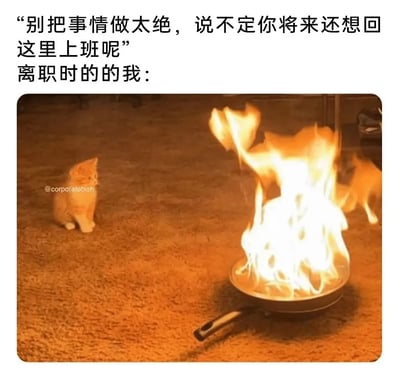 这是一张职场离职主题的搞笑梗图，上方配有文字：“别把事情做太绝，说不定你将来还想回这里上班呢”以及“离职时的我：”，下方的图片展示了室内地毯上的场景：一只橘色小猫神态平静地端坐在一旁，看着面前的平底锅燃起大火，另一只橘色小猫在着火的锅后方快速跑开。整幅图通过文字和画面的结合，用夸张的场景表现出离职者面对“留后路”的劝说时，那种彻底与原公司决裂、绝不回头的决绝心态，精准戳中了许多职场人离职时的情绪，充满共鸣感和搞笑效果。