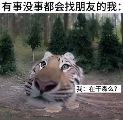 图片上方配有文字“有事没事都会找朋友的我：”，主体画面是一只老虎从下方探出头，眼神好奇地望向镜头，下方配有文字“我：在干森么？”。整体通过老虎探头的可爱动作和直白的文字，幽默地表现了喜欢频繁联系朋友、关心对方动态的性格特点。