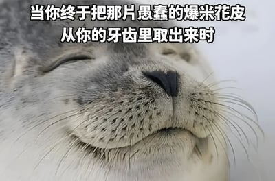 图片为一只海豹的面部特写，它双眼紧闭，嘴角微微上扬，胡须自然舒展，表情呈现出极度满足和放松的状态。图片上方配有文字“当你终于把那片愚蠢的爆米花皮从你的牙齿里取出来时”，通过海豹的惬意表情幽默类比人们解决牙缝中异物后的舒畅感受，场景生活化且富有共鸣感。
