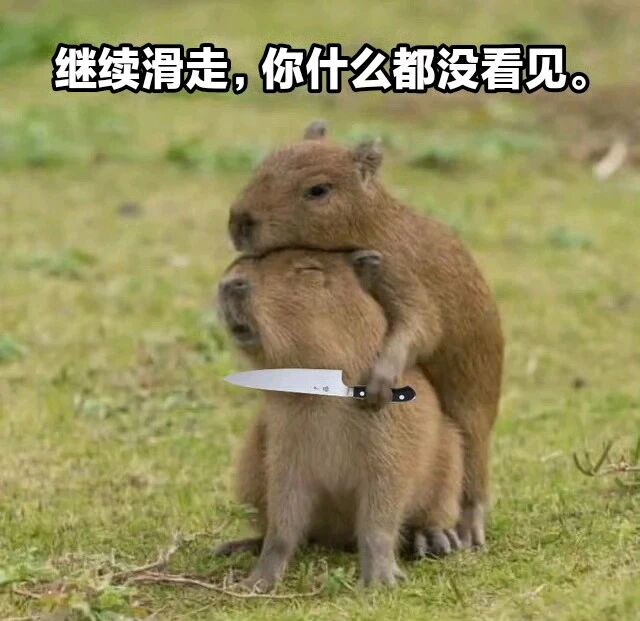 水豚