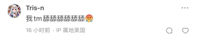 这是一张社交媒体评论截图，显示用户“Tris-n”发布的内容：“我 tm 舔舔舔舔舔舔 😡”，发布时间为16小时前，IP属地显示为美国。截图中包含用户头像、用户名、评论内容、发布时间、IP属地信息以及互动图标（评论和点赞）。内容表达了强烈的情绪，搭配愤怒表情符号强化了抓狂的语气。