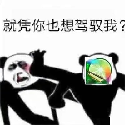 这是一张基于经典熊猫头打架模板改编的静态P图表情包，属于文字加注的表情素材图。画面中，左侧熊猫头脸部带有红印，表情痛苦，呈现被击打后的受挫姿态；右侧熊猫头的脸部被替换为Windows系统自带的Windows Media Player播放器图标，它正伸手击打左侧熊猫头。图片顶部配有文字“就凭你也想驾驭我？”，拟人化地表现出Windows Media Player这款播放器操作复杂、对部分视频格式支持不佳，用户难以顺利使用它，仿佛被播放器“教训”的无奈与调侃，这类表情包常被电脑用户用来吐槽这款老牌播放器的难用之处。