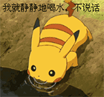 皮卡丘静静喝水表情包