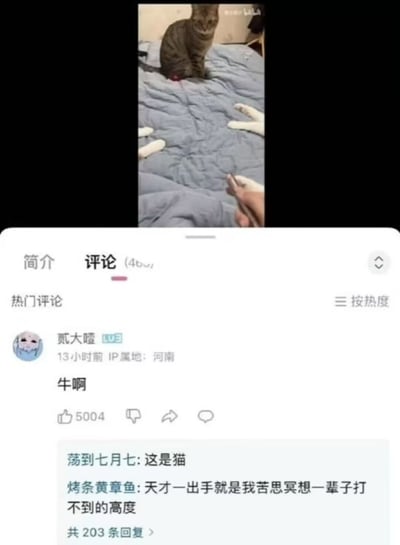 这是一张哔哩哔哩（B站）的视频评论区截图，上方的视频画面呈现出趣味视觉错位效果：一只狸花猫坐在床上，被子上摆放的几个白色手套，配合拍摄角度，看起来像是这只猫长了多只“手”，营造出荒诞有趣的错觉。下方评论区里，用户“贰大嚛”的热门评论“牛啊”获得了5004个赞，还有其他网友回复“这是猫”“天才一出手就是我苦思冥想一辈子打不到的高度”，网友们被这个创意错位效果逗乐，纷纷表达惊叹与调侃。