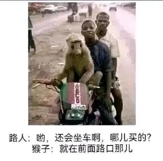 这是一张添加了搞笑对话的真实拍摄照片，画面中一只猴子坐在摩托车的驾驶位，握着车把，看起来像是在“开车”，后面坐着两位黑人男性，他们身处户外道路环境。图下的对话是路人询问猴子是哪儿买的，猴子回应在前面路口，利用拟人化的对话制造出荒诞搞笑的效果，仿佛猴子是被“购买”的商品，形成反差幽默。