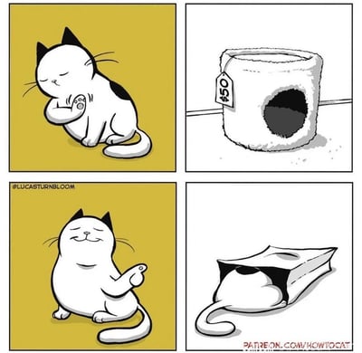 这是一组四格连环卡通漫画，以猫咪的搞笑日常为主题：第一格是黄底背景的黑白花猫咪，闭着眼睛，一只爪子摸着另一只爪子，看起来在盘算事情；第二格展示了一个标价50美元的毛绒猫窝，挂着价格标签；第三格的猫咪表情变得满足惬意，一只爪子比出类似搞定的手势，显然想到了办法；第四格是猫咪将自己钻进了第二格中的价格标签纸套里，把这个简易的纸套当成了自己的猫窝。漫画利用猫咪喜欢钻狭小空间的习性，用幽默夸张的方式表现猫咪“省下买猫窝的钱”的操作，充满趣味，让人忍俊不禁。