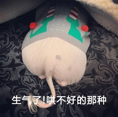 生气了!哄不好的那种毛绒玩具
