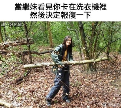 这是一张利用视觉错位效果制作的搞笑梗图，图中女子身处落叶满地的树林中，抱着一根粗壮的原木，原木从她身前横向穿过，视觉上看起来像是她被这根原木组成的「洗衣机滚筒」卡住了。搭配上方的文字「當繼妹看見你卡在洗衣機裡 然後決定報復一下」（翻译：好色龙），玩了一个搞笑的报复梗——继妹用模仿被洗衣机卡住的方式，来调侃报复对方之前被卡洗衣机的窘境，通过视觉错位制造出滑稽的喜剧效果。