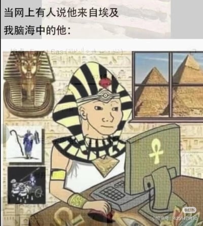 这是一张搞笑梗图，用来调侃人们对埃及的刻板印象：当网上有人自称来自埃及时，作者脑海里浮现的是一个戴着古埃及法老头饰的人，坐在充满埃及元素的房间里使用电脑。房间内墙上挂着法老面具、埃及神祇的挂画，窗外能看到标志性的金字塔，电脑上还有埃及象征生命的安卡符号，将现代上网场景和古埃及文化元素结合，制造出荒诞搞笑的反差感。