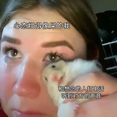这是一张经过P图改编的文字加注表情包，画面主体是一位眼含泪水、鼻头泛红，神情悲伤崩溃的女生，一只白色仓鼠被巧妙地P在女生脸部，仓鼠的位置与女生的眼睛重合，形成有趣又戳人的视觉效果。图中上方文字“心态烂得像屎的我”精准描绘出人物此刻糟糕、崩溃的精神状态，下方文字“和想念的人打电话听到对方的声音”则点明了情绪的转折点，生动地展现了一个人在处于情绪低谷时，听到想念的人的声音，内心瞬间被柔软击中、获得慰藉的细腻情感，能够引发有类似情感经历的人的强烈共鸣。