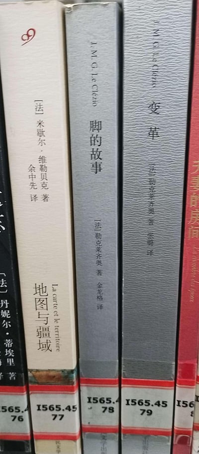 这是一张竖版实拍图，展示了书架上整齐排列的多本**法国文学中译馆藏书籍**的书脊：
- 《地图与疆域》：[法]米歇尔·维勒贝克 著，余中先 译，书脊顶部有99读书人的标识，附带法文原名*La carte et le territoire*
- 《脚的故事》：[法]勒克莱齐奥 著，金龙格 译，作者标注为J. M. G. Le Clézio
- 《变革》：[法]勒克莱齐奥 著，张璐 译，作者标注为J. M. G. Le Clézio
每本书下方都贴有图书馆的馆藏分类编号，均为`I565.45`系列（对应法国文学类），书籍装帧风格统一，属于同一系列的外国文学译丛，整体氛围静谧文艺。