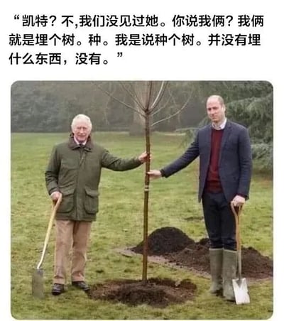 图片中展示了两位男性（推测为英国王室成员查尔斯王子和威廉王子）在户外草地上共同种植一棵树的场景。两人分别手持铁锹，站在新栽的树苗旁，背景是绿色的草地和树木。图片上方配有虚构对话文字：“凯特？不,我们没见过她。你说我俩？我俩就是埋个树。种。我是说种个树。并没有埋什么东西，没有。” 通过故意混淆“种树”和“埋东西”的表述制造幽默效果，营造出一种紧张又故作镇定的喜剧氛围。