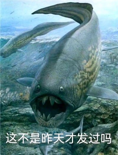 暂无描述