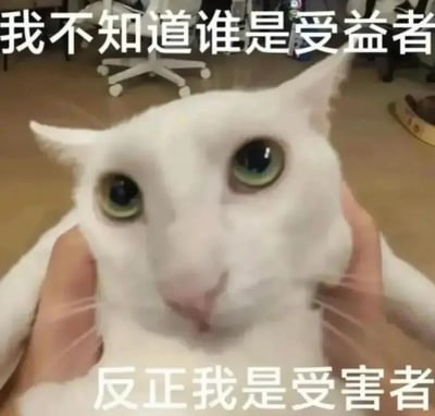 图片中是一只白色猫咪，双眼圆睁，绿色的眼睛显得格外有神，正被两只手轻轻捧住脸颊，表情看起来无辜又带着一丝困惑。图片上方配有文字“我不知道谁是受益者”，下方文字为“反正我是受害者”。背景中可见办公室风格的椅子和猫窝，推测拍摄于室内居家或办公环境。这张梗图通过猫咪无辜的表情与文字结合，幽默地表达了在某种情境中自己受到影响却不清楚谁从中获利的无奈或吐槽情绪。