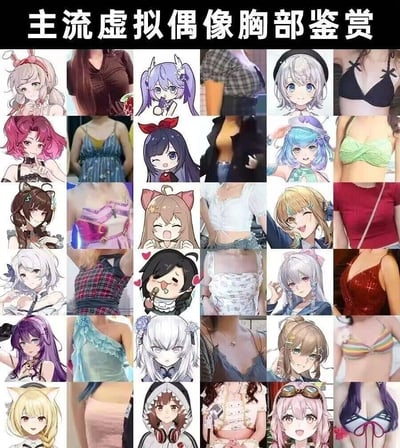 这是一张6行6列的拼接趣味图，顶部标题为「主流虚拟偶像胸部鉴赏」。图中每一组由虚拟偶像的立绘/头像，和对应的真人胸部特写照片拼接而成，将国内各大虚拟主播企划的虚拟偶像形象与真人身材做对应，通过这种错位搭配制造出调侃虚拟偶像“皮套”与现实反差的搞笑效果。
无双关、谐音梗或暗示内容，核心是拼接对比的趣味感。