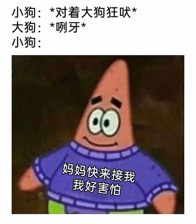 这是一张搞笑网络梗图，上方通过三段式文字构建了一个趣味场景：小狗起初对着大狗狂吠，试图展现凶狠姿态，可当大狗只是做出咧嘴威慑的动作后，小狗瞬间认怂。下方搭配动画《海绵宝宝》里派大星的截图，派大星带着强装镇定却难掩慌张的表情，配文“妈妈快来接我 我好害怕”，精准且夸张地表现出小狗外强中干、装凶后立刻退缩的搞笑反差，戳中了人们对这类“怂包瞬间”的共鸣，十分诙谐有趣。