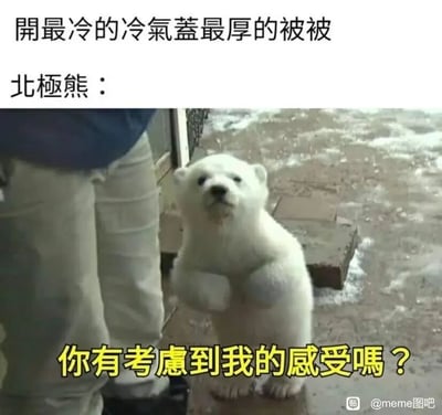 这是一张搞笑网络梗图，上方配有文字“开最冷的冷气盖最厚的被被”，描述了人类夏天一种矛盾的消暑行为：一边把空调开到最冷，一边盖着厚被子。图中主体是一只站立起来的小北极熊，它前爪抬起，表情看起来委屈又无奈，下方配文“你有考虑到我的感受吗？”，通过拟人化的手法，以原本就生活在寒冷环境的北极熊的视角，吐槽人类这种“过度制冷”的行为，仿佛人类的操作对它来说是“雪上加霜”，用这种反差感制造幽默效果，调侃人类夏天的奇葩生活操作，引发网友对这类生活趣事的共鸣。