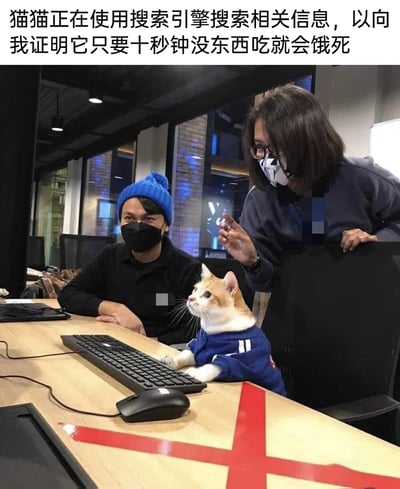 这是一张充满趣味的实拍照片，场景设置在办公环境中：一只穿着蓝色带白纹衣服的橘白相间猫咪，前爪搭在键盘上，抬头看向身旁的人，仿佛正在操作电脑；旁边有两位戴着口罩的人，一位坐在桌前，一位俯身靠在椅背上，似乎在和猫咪互动。图片上方的文字给猫咪赋予了拟人化的搞笑设定——它正在使用搜索引擎查找资料，向主人证明自己只要十秒钟没东西吃就会饿死，用幽默的方式调侃了猫咪贪吃、总是讨要食物的可爱日常，让普通的宠物场景变得充满趣味。