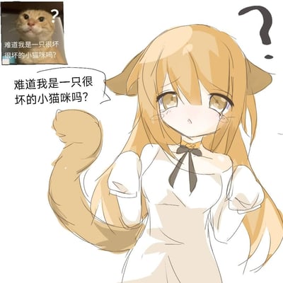 这是一张将网络热门的疑惑橘猫表情包进行拟人娘化的二次创作图。画面主体是拥有橘色猫耳、猫尾的软萌二次元女孩，她眼眶含泪，脸颊挂着泪珠，一脸委屈又疑惑地发问：“难道我是一只很坏的小猫咪吗？”；左上角是原版的橘猫表情包，猫咪歪头，同样配文“难道我是一只很坏很坏的小猫咪吗？”。整体画风柔和治愈，传递出委屈、自我怀疑的软萌情绪，没有双关、谐音梗或暗示内容。对于图中的问题，当然不是啦，这只小猫咪（猫娘）超可爱的，一点都不坏~
