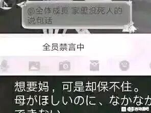 这是一张聊天记录截图，内容分为三部分：最上方是群内发言者@全体成员发送的内容“家里没死人的 说句话”，紧接着是系统提示“全员禁言中”，下方则是一段掺杂中日双语的悲伤文案，中文为“想要妈，可是却保不住。”，日语为“母がほしいのに、なかなか”，后续还有未显示完整的文字。图片右下角带有“@李哈哈”的水印。该内容通过黑色幽默的方式，利用“让没出事的人发言却立刻全员禁言”的反差设定，搭配失去母亲的悲伤文案，营造出一种无力又扎心的讽刺效果，将悲伤情绪用群聊的荒诞场景放大，属于网友创作的恶搞类网络段子。