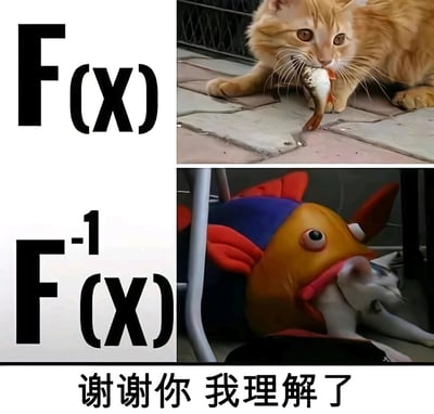 这是一张上下对比的图文科普梗图，旨在用趣味化的画面解释抽象的数学反函数概念。上方区域标注数学符号“F(X)”，对应实拍场景：一只橘猫趴在地面上，眼神专注，嘴里叼着一条鱼，直观呈现函数的映射关系（猫对应鱼）；下方区域标注反函数符号“F⁻¹(X)”，对应创意搞笑场景：一个大型鱼形玩偶“叼着”一只白猫，白猫看起来处于被动状态，呈现反函数的反向映射关系（鱼对应猫）。图片底部配文“谢谢你 我理解了”，表达这种具象化的搞笑例子让观者轻松理解了原本抽象的反函数概念，将枯燥的数学知识用生活化的趣味画面呈现，大幅降低了理解门槛。
