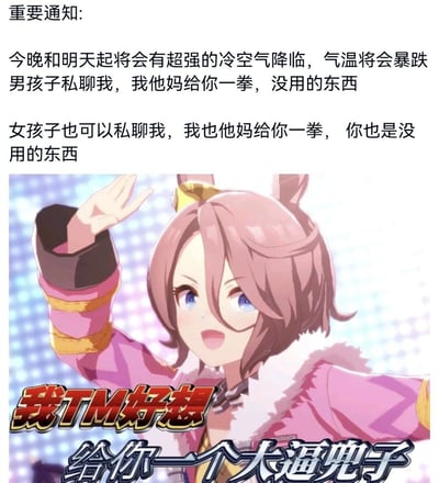 这是一张图文混排的搞笑表情包，上方以“重要通知”的形式开篇，先告知“今晚和明天起将会有超强的冷空气降临，气温将会暴跌”的天气信息，随后语气突变，用暴躁粗俗的调侃语气表示不管是男孩子还是女孩子私聊自己都会被打；下方搭配手游《赛马娘 Pretty Derby》中的角色春乌菈菈抬手的画面，同时配有“我TM好想给你一个大逼兜子”的文字，整体通过正经通知和暴躁吐槽的反差感制造搞笑效果，既提及了降温天气，又用夸张的情绪表达拒绝私聊的态度，属于玩梗类的社交表情包。