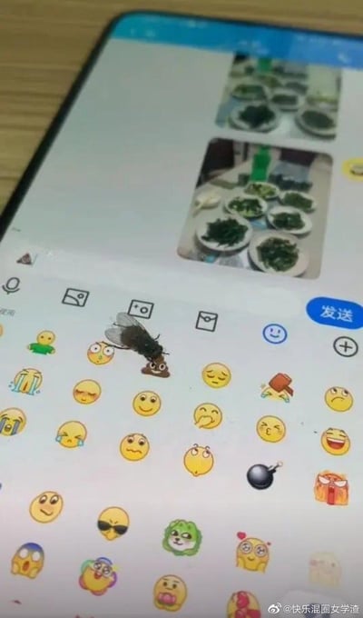 一张手机屏幕的实拍照片，显示了一个有趣的巧合场景：一只苍蝇恰好停留在输入法键盘上的便便表情包上，形成了极具喜感的画面。手机屏幕上方显示着聊天记录，其中包含几张食物照片，下方则是各种表情符号组成的键盘界面。这张照片捕捉到了生活中意外的幽默瞬间，苍蝇与便便表情的组合产生了令人捧腹的视觉效果。