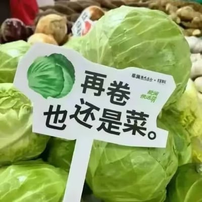 这是一张在超市蔬菜区拍摄的实拍图，画面中堆放着多颗新鲜的卷心菜，旁边立着一块印有卷心菜图案的白色标语牌，上面写着「再卷也还是菜」。这句话运用了谐音梗：「卷」既对应卷心菜的形态特征，又指代当下热议的「内卷」现象，以幽默的方式调侃内卷文化，传递出就算过度内卷，本质也不会改变的无奈又搞笑的态度。