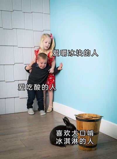 这是一张趣味改编的网络梗图，采用剧场式构图的真人照片作为基底，添加文字标注来调侃不同饮食偏好的人群。画面中，穿着红色碎花裙的女孩被标注为“爱嚼冰块的人”，她面露惊恐，双手护着身前正在崩溃大哭的男孩（标注为“爱吃酸的人”），两人缩在墙角，仿佛在躲避什么；画面下方的黑色兔子被标注为“喜欢大口啃冰淇淋的人”，正靠近木桶，整体场景营造出一种“喜欢大口啃冰淇淋的人”让另外两类饮食偏好的人感到恐惧的搞笑反差感，以此趣味化呈现不同饮食喜好人群的“反差”。