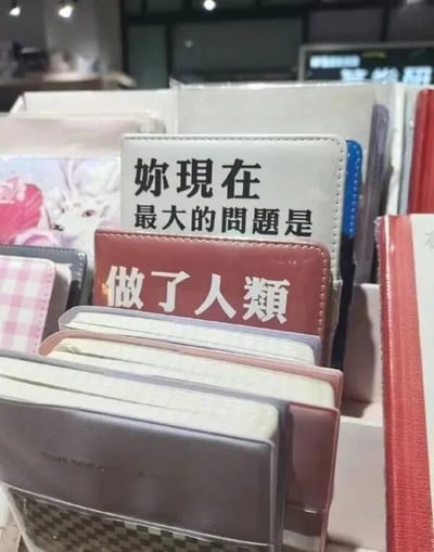 文具店货架上陈列着多款笔记本，其中一本灰色封面笔记本印有白色文字“妳現在最大的問題是”，其下方红色封面笔记本则印有“做了人類”，两句文字上下衔接形成“妳現在最大的問題是做了人類”的完整吐槽。背景可见其他花色笔记本和模糊的店内环境，整体构图聚焦于这两本带有文字的笔记本，营造出一种幽默又略带无奈的氛围，仿佛文具也在调侃人类生活的不易。