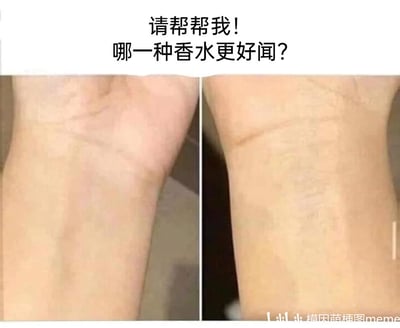 这是一张左右对比的静态梗图，画面主体是两只手腕的局部特写，手腕上没有任何能区分香水的痕迹，图片上方配有文字“请帮帮我！哪一种香水更好闻？”，以一种无厘头的方式制造反差感——明明没有提供任何关于香水的有效信息，却向他人寻求香水选择建议，用荒诞的场景来营造搞笑效果，右下角带有“模因萌梗图meme”的水印。