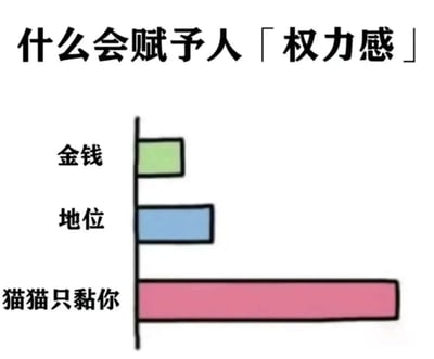 一张幽默对比图，标题为“什么会赋予人「权力感」”。图中用条形图展示了三种不同事物带来的权力感程度：金钱（绿色短条）、地位（蓝色中条）和猫猫只黏你（粉色超长条）。通过夸张的比例对比，幽默地表达了对猫奴来说，猫咪的喜爱比金钱和地位更能带来满足感和权力感。