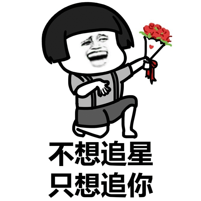 不想追星只想追你 动态表情包