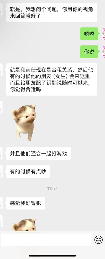这是一张竖屏手机格式的聊天记录截图，展示了一段关于合租边界感的对话。用户A向对方倾诉自己与前任合租的困扰：前任给其女性朋友配了钥匙允许随时来访，两人还会一起打游戏有时比较吵闹，用户A因此感到被冒犯和不适。聊天过程中穿插了两张可爱的小猫图片作为表情辅助。