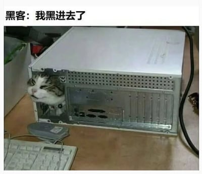 这是一张搞笑网络梗图，画面核心是一只猫躲在电脑机箱内部，上方配有文字'黑客：我黑进去了'。图中巧妙运用双关，将猫拟人化为黑客，把'黑进系统'的技术行为与猫'躲进机箱'的物理行为结合，营造出幽默诙谐的效果，让人会心一笑。