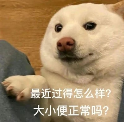 一张柴犬的特写照片，狗狗表情看起来有些疑惑地直视前方。图片上叠加了两行中文文字：'最近过得怎么样? 大小便正常吗?'，以一种幽默的方式用狗狗的口吻询问对方的健康状况，特别是较为私密的生理问题，形成一种反差萌的搞笑效果。