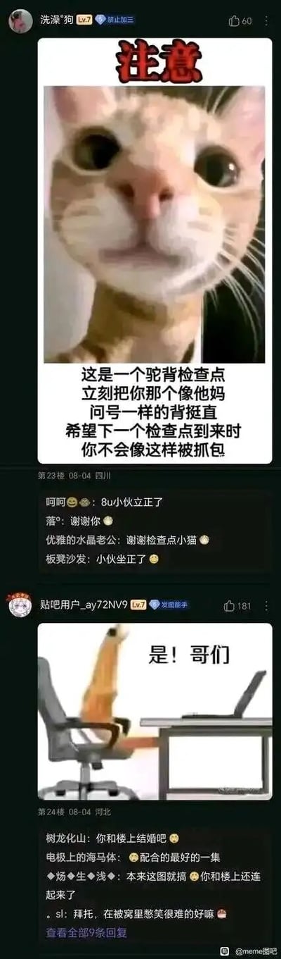 这是来自百度贴吧meme图吧的两组互动帖子，上层由用户“洗澡*狗”发布，以一张睁着圆溜溜大眼睛的猫咪图作为“驼背检查点”，配上幽默的文字提醒网友立刻挺直驼背，用“像问号一样的背”调侃日常驼背的姿势，下方其他网友回复配合玩梗，称“8u小伙立正了”“谢谢检查点小猫”；下层由用户“贴吧用户_ay72NV9”发布一张办公椅挺直靠背的图片，配文“是！哥们”，完美呼应上层帖子里“挺直背”的要求，下方网友回复玩梗，调侃两人是“配合的最好的一集”“你和楼上结婚吧”，整体内容轻松搞笑，通过梗图互动调侃日常驼背的小习惯，营造出欢快的社群氛围。