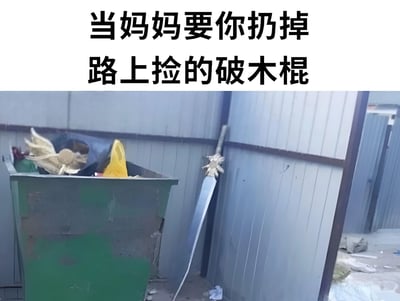 这张梗图通过幽默的方式展现了孩子视角与成人视角的差异。图片上方配有文字"当妈妈要你扔掉路上捡的破木棍"，下方则是一个垃圾桶旁斜靠着一把看起来像古代兵器的长剑，但在妈妈眼中这可能只是一根普通的破木棍。这种反差制造了喜剧效果，反映了童年时期孩子常常会把普通物品想象成宝贝的心理。
