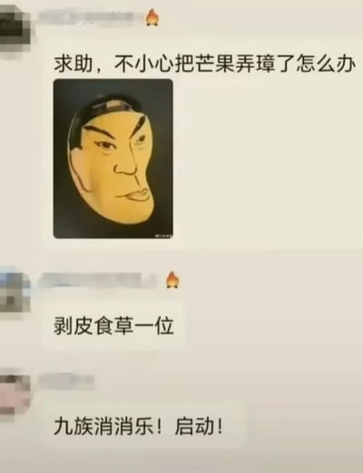 这是一段来自国内社交聊天平台的静态截图，内容是网友间的趣味玩梗互动。第一位用户发布了一张经过P图改编的图片，将普通的芒果画上了明朝开国皇帝朱元璋的面部，同时配文“求助，不小心把芒果弄璋了怎么办”，利用“脏”与“璋”的谐音，将“弄脏芒果”的日常小事和朱元璋的名字关联，制造出荒诞的趣味点。后续两位网友的回复也顺着这个梗延伸，“剥皮食草一位”对应朱元璋在位时期的酷刑“剥皮楦草”，“九族消消乐！启动！”对应古代株连九族的刑罚，通过结合历史典故的玩梗方式，让整个聊天充满搞笑、戏谑的氛围，是网友们日常自娱自乐的网络内容创作。