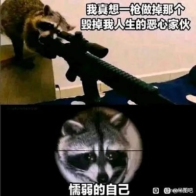 这是一张上下对比的图文混排P图，上方画面呈现一只浣熊做出持枪瞄准的动作，搭配文字“我真想一枪做掉那个毁掉我人生的恶心家伙”，传递出强烈的愤怒情绪；下方画面切换为枪械瞄准镜的视角，镜中是一只神情怯懦的浣熊，配文“懦弱的自己”。整幅图通过这种极具反差的画面与文字搭配，幽默地展现了人们在生活中因自身懦弱而产生的自我不满与自嘲情绪，精准戳中很多人内心对自己怯懦一面的懊恼心态，用动物拟人化的方式让这种内心矛盾更生动有趣。